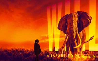 Mover clave para la experiencia ‘VR, sin gafas’ de Illuminarium