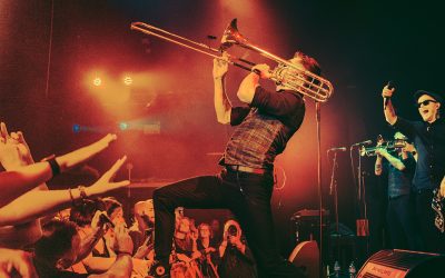 22live redobla la apuesta por el audio premium con el sistema inalámbrico digital N-Series de DPA Microphones