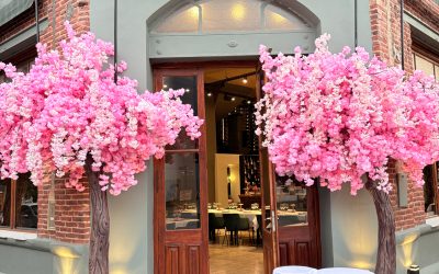 Audio profesional y control multizona: El Cerezo renueva su experiencia sonora en Junín